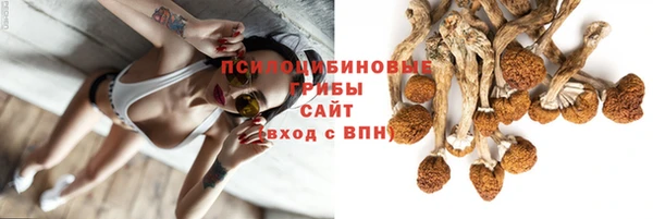 гидра Абдулино
