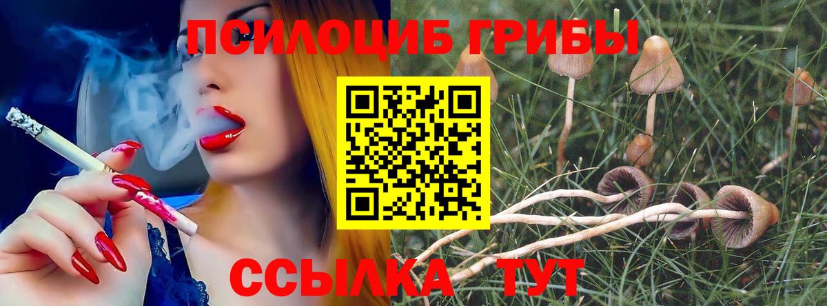 Галлюциногенные грибы Psilocybine cubensis  Псилоцибиновые грибы Psilocybe  Нижний Тагил  Вход с VPN 